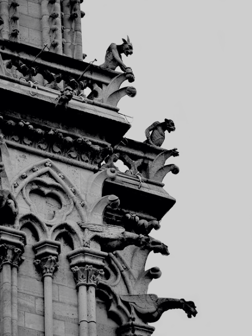 facinaoris:Gargoyles of Notre-Dame de Paris 