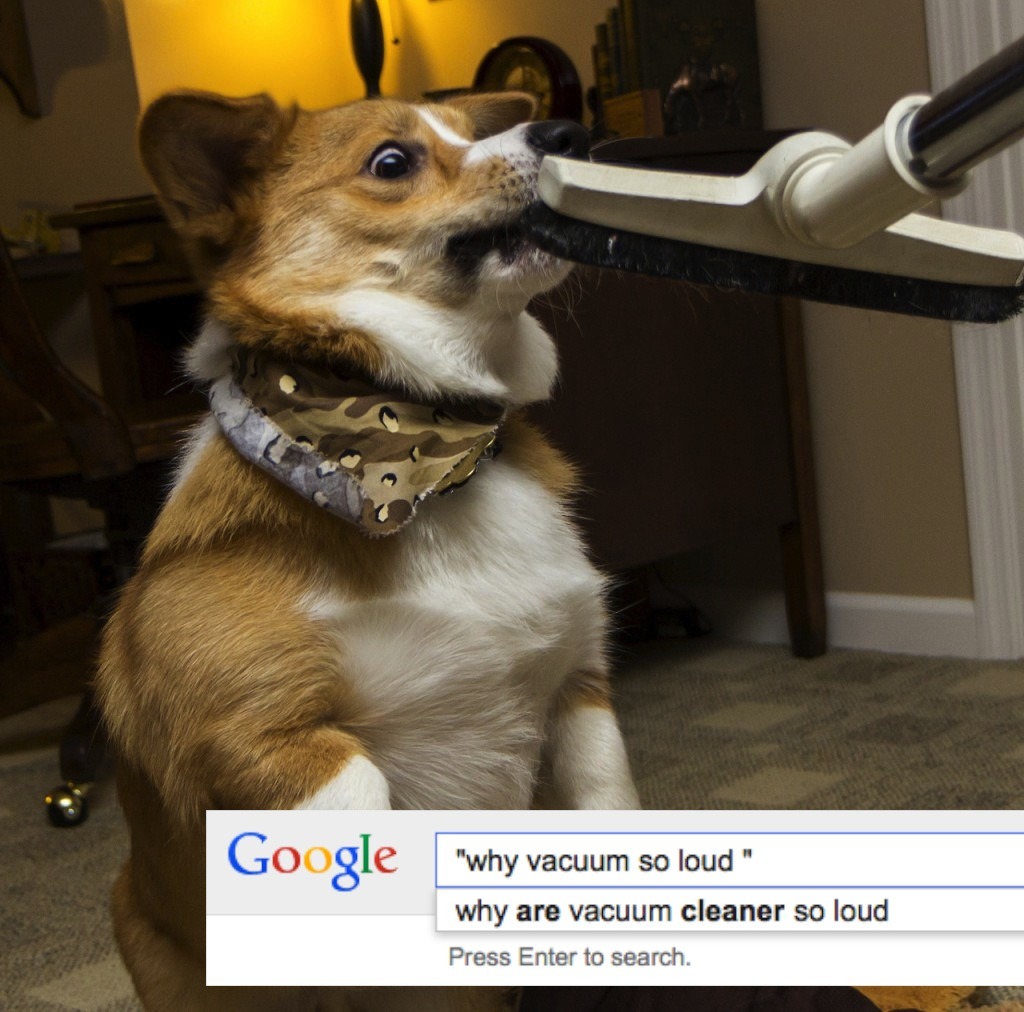 machetecorgez:  a-lotte:  I got on google and found a bunch of incredible search