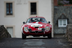 artandmotorsportfan:  Tour Auto 2013 - Alfa Romeo Zagato by Guillaume Tassart on Flickr. 