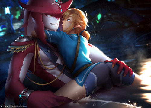 its-kyoka-bitch: Prince Sidon x Link - Homri