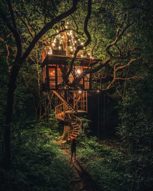 Tree House in Japan Photographed by Ryosuki Kosuge, who works as RK
