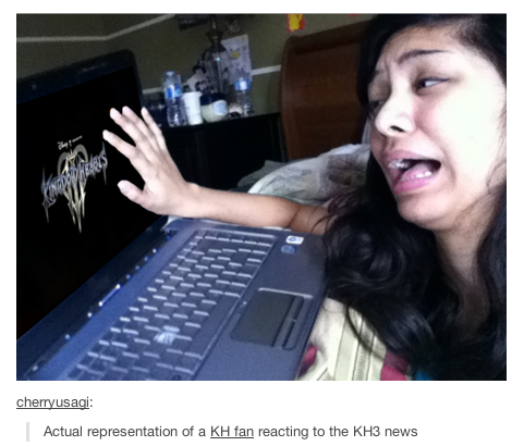 everythingdissolvesinlove:  The Kingdom Hearts fandom at its finest. 