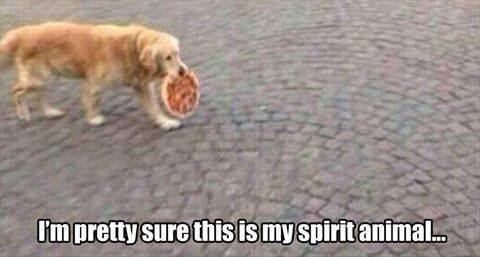 when you see your spirit animal in real life bahaha!!!
