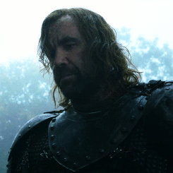HI I LOVE THE WAY YOU WRITE SANDOR There's Not Enough Hound Love You Are Doing The Seven's Work