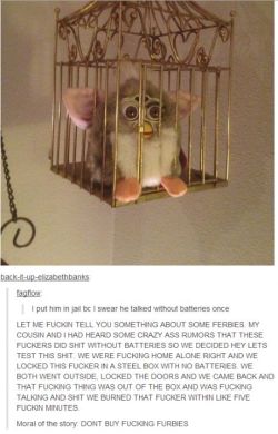 THIS FUCKING POST.  THIS!!!!  FURBIES ARE EVILLLLLLLLLLLLLLLLLLLLLLLLLLL!