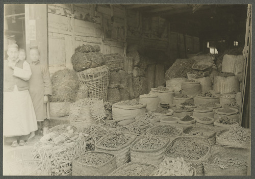 Joseph F. Rock: Interior of Medicine Shop in Chong-pa (Zhongba), Sichuan, 1926