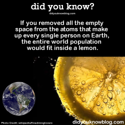 did-you-kno:  If you removed all the empty