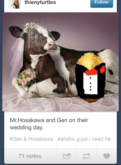 riderunlive: today on tumblr: what is cow