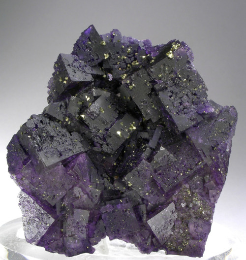 bijoux-et-mineraux: Fluorite and Chalcopyrite - Cave-in-Rock, Hardin Co., Illinois