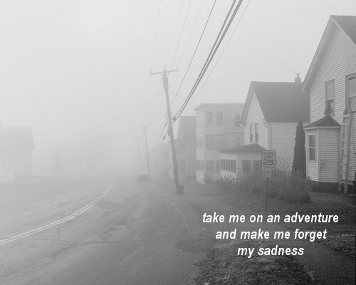 lowerclass-hero:  3000-milesfromyou:  sadmouselivesinthishouse:  Tumblr -&gt;