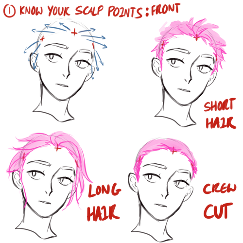 Drawing HairRow 1 - 3Row 4, By Anatomy Next