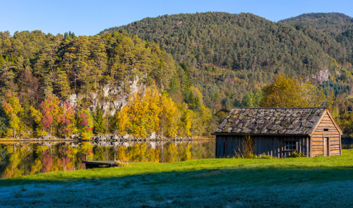 Autumn at The Lake As the sun is warming up the frosty grass, the beautiful trees in autumn colors i
