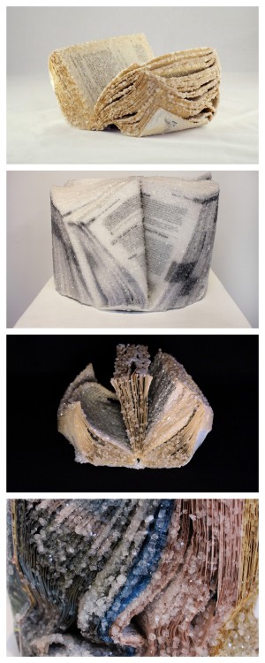 Make Your Own Crystallized Book SculpturesThese Crystallized Book Sculptures were made by Alexis Arn