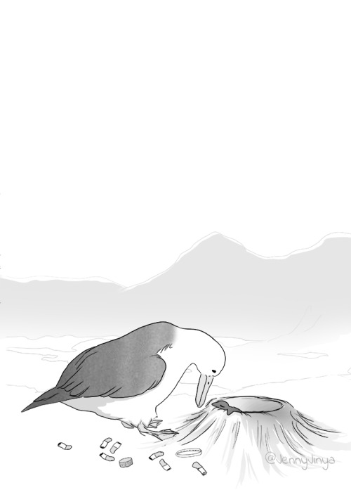 jenny-jinya: Short comic, while I work on something bigger on the side.  It is  nevertheless a very important topic. A lot of seabirds die because they  eat plastic. They feed their chicks with the waste. It’s really tragic.  