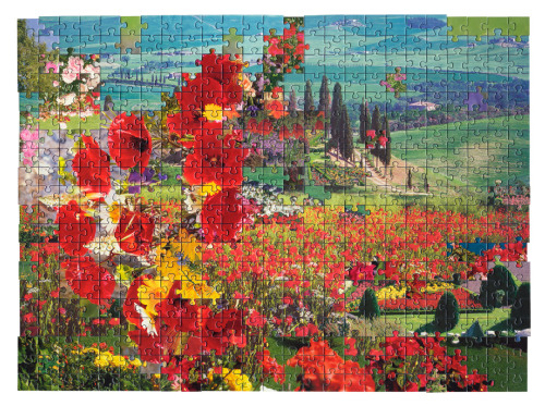 Kent Rogowski manages to complete jigsaw puzzles with non matching pieces. Love = Love is a ser