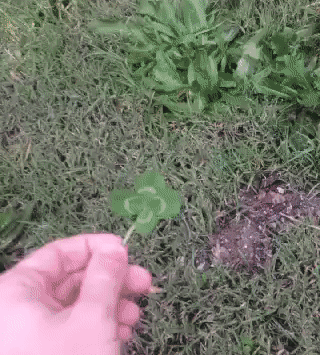 tastefullyoffensive:  *yoink* (via clubjuggler) 