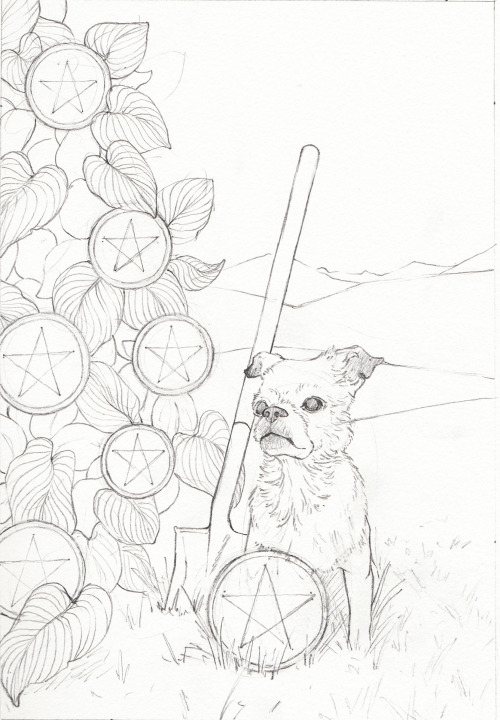 Woohoo, the Seven of Pentacles sketch is complete!! This old pupper was a real joy to draw and we ca