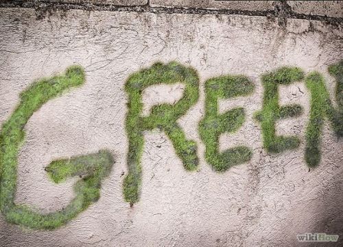 spellbookbitch: thankthegodsbelow: permaniche: widewalls-artmagazine: HOW TO MAKE MOSS GRAFFITI - ST