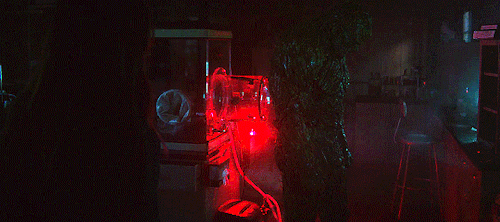 dcgifs:Alec protecting Abby | Swamp Thing 1.03