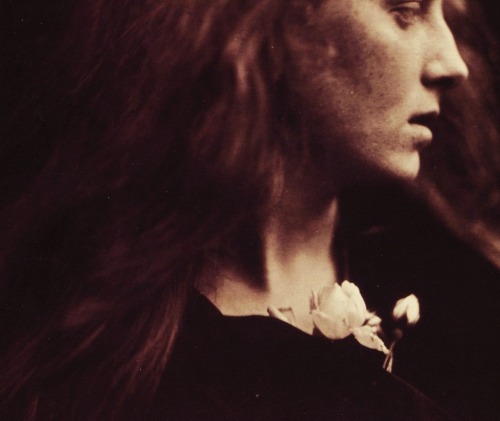 xshayarsha:Detail of a photograph by Julia Margaret Cameron.