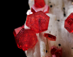 hematitehearts:  Vanadinite on BaryteLocality: 