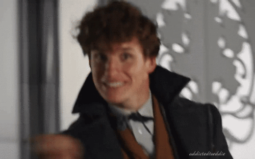 Newt Artemis Fido Scamander