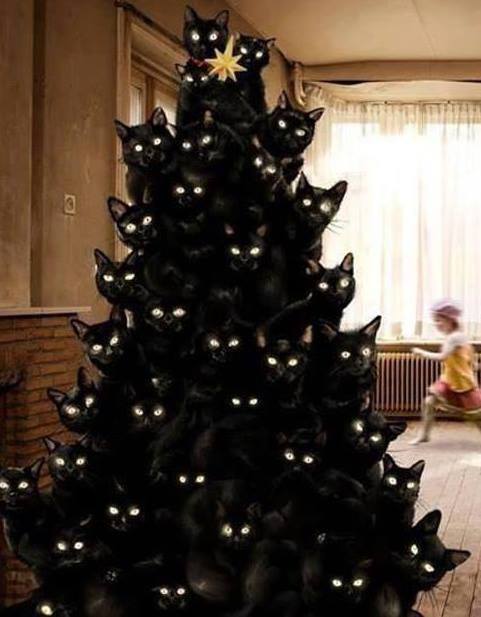 thighclapper: nerdloveandlolz: theinnermachinations-ofmymind: Merry Catmas With this post, I begin t
