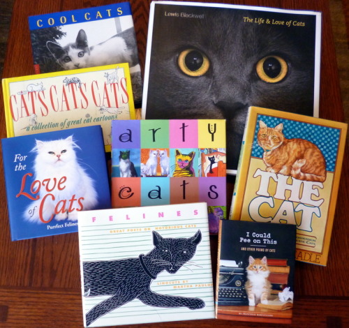 bookporn:  oddismycopilot:  Shelfie: Cat books  Photo by oddismycopilot.   I know @sapphiremyst will