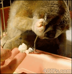 reblog-gif:  http://reblog-gif.tumblr.com/