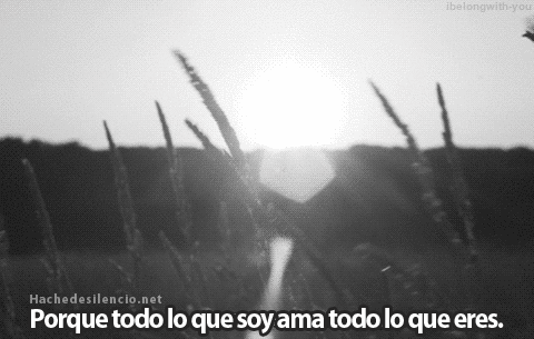 Hache de silencio