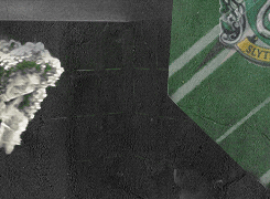  “We Slytherins look after our own… The corridors of Hogwarts can throw up surprises
