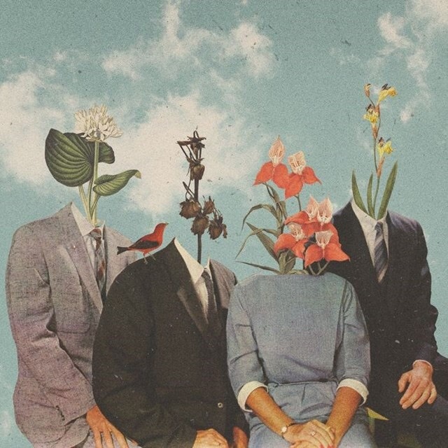 refunk:  Douglas Hale 