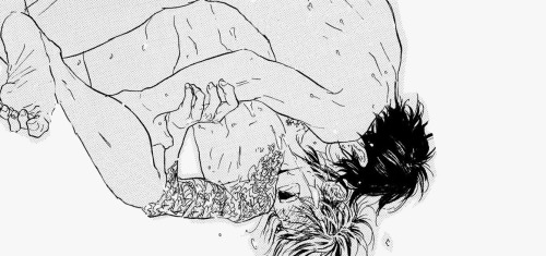 Loving Yaoi