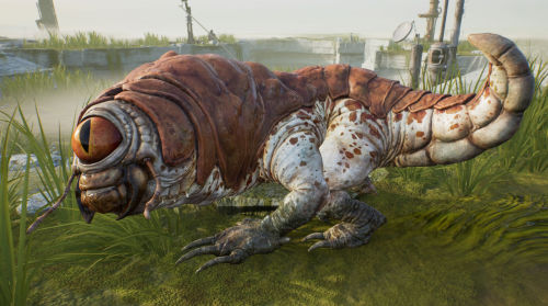 Armoured Bog Rat
