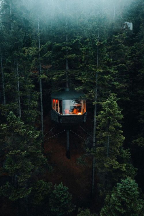 j-k-i-ng:“Tree-tee” by | Luke Jackson-ClarkSørfjorden, Odda, Norway