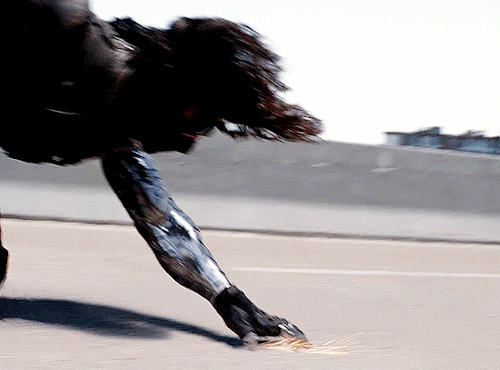 capsgrantrogers: Who the hell is Bucky? Happy Birthday, James Buchanan Barnes! (March