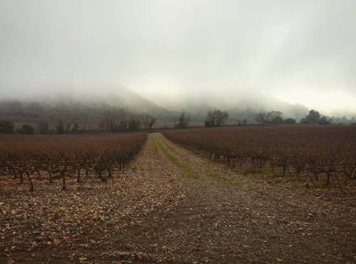 #catalunya #tarragona #poblet #invierno #hivern (en Monestir de Poblet ( Poblet ))