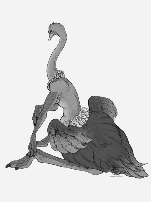 chutkat:  Morning girl Commission for ecmajor of their ostrich taur character Maggie. First time drawing an ostrich! :D  Ahhhh look <3