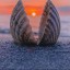 sea-and-sunsets