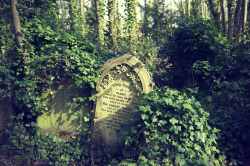 gothiccharmschool:  tmkngt19800320:  a quiet place.  Pretty, pretty, pretty. (Hello, I am a goth. I enjoy cemetery photography.) 