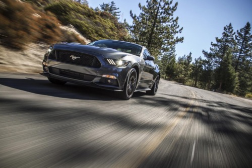 musclecarsfans:  Follow For Muscle Cars Everyday