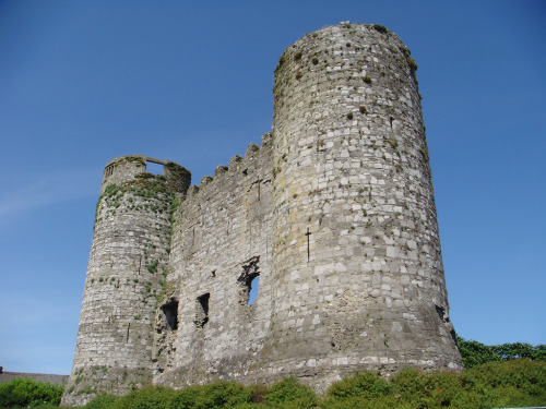 abandoned-playgrounds: Abandoned ruins of Carlow Castle in the midst of a changing world in Carlow, 