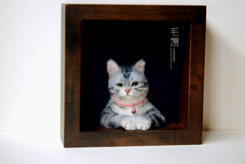 ▋ Exotic Shorthair ( custom-made )Pet Portrait  Frame is approximately 18 x 18 cm