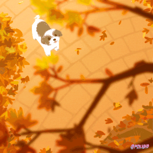 oliviawhen:  foxadhd:  Happy Autumn!  If you’re not excited about autumn and dogs you can leaf