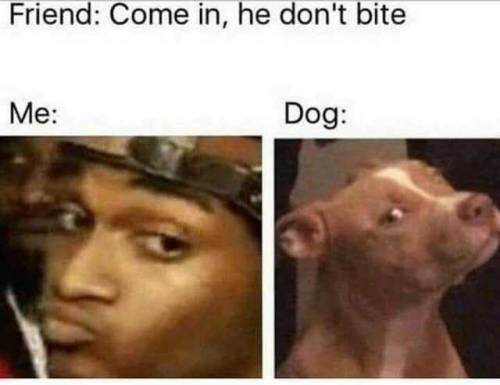 lolfunnyhumor: