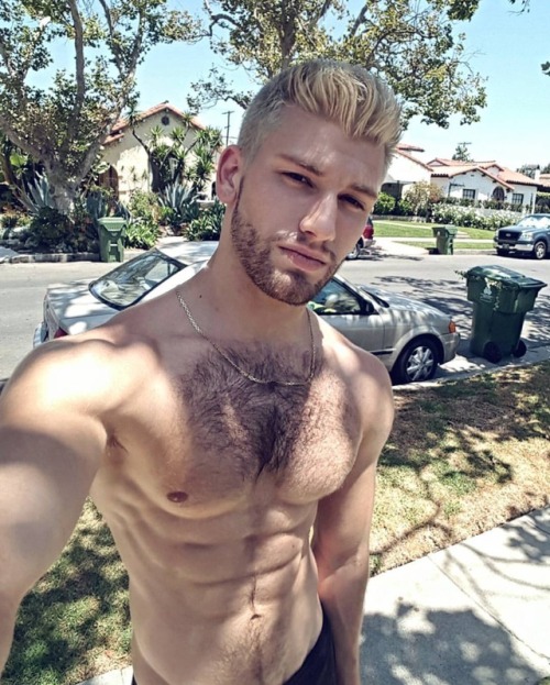 BRO ♂ adult photos