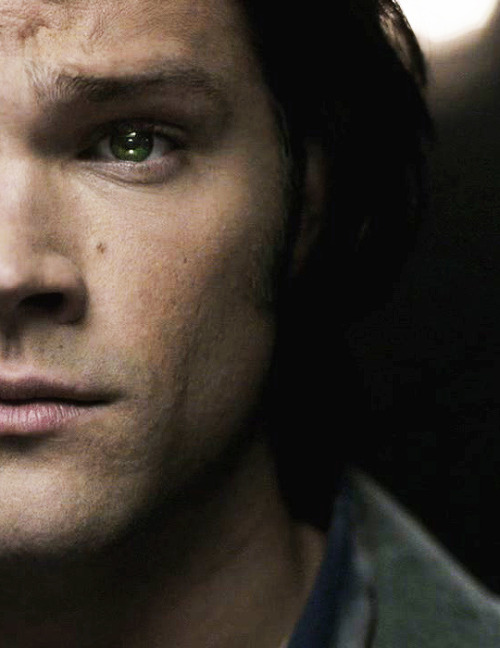 russian-hiddlestoner:Sam Winchester.(1-10)