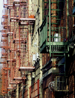 wanderingnewyork:  Fire escapes in Norwood.