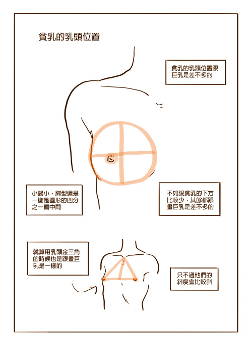 dconthedancefloor: simple guide of how you draw boobs and nipples