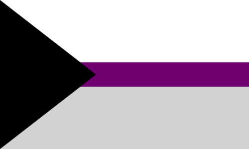 demisexualspaceace: It’s June 8th, which means it’s Demisexual Pride Day!  Happy Pride D